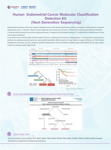 Human  Endometrial Cancer Molecular Classification Detection Kit