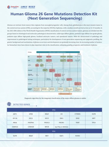 Human Glioma 26 Gene Mutations Detection Kit