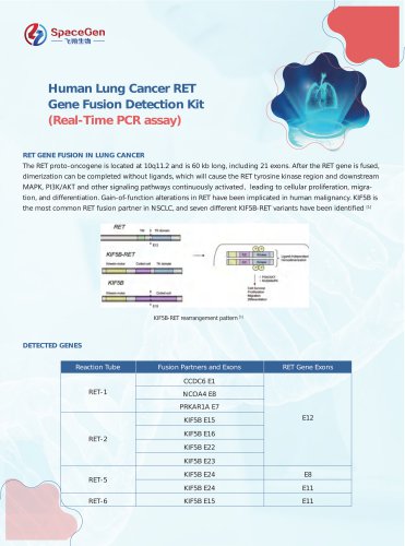 Human Lung Cancer RET Gene Fusion Detection Kit