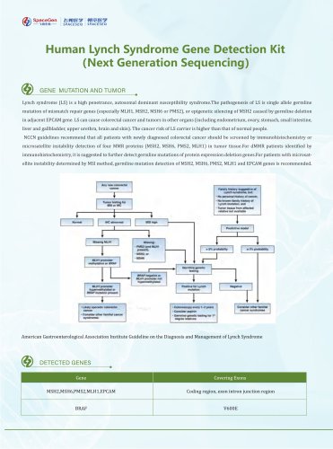 Human Lynch Syndrome Gene Detection Kit