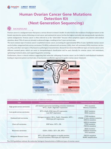 Human Ovarian Cancer Gene Mutations Detection Kit