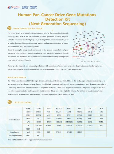 Human Pan-Cancer Drive Gene Mutations Detection Kit