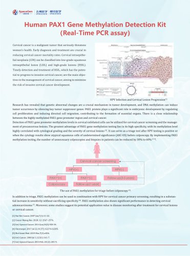 Human PAX1 Gene Methylation Detection Kit