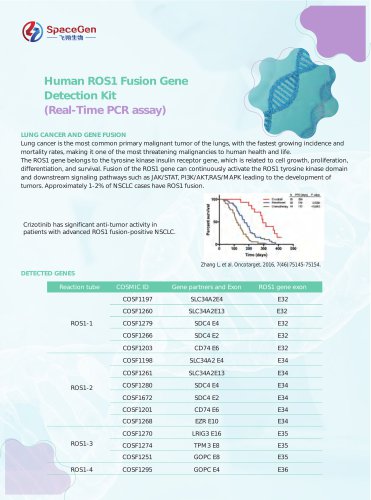 Human ROS1 Fusion Gene Detection Kit