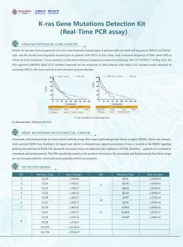 K-ras Gene Mutations Detection Kit