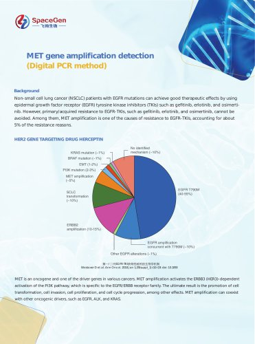 MET gene amplification detection