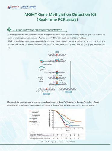 MGMT Gene Methylation Detection Kit