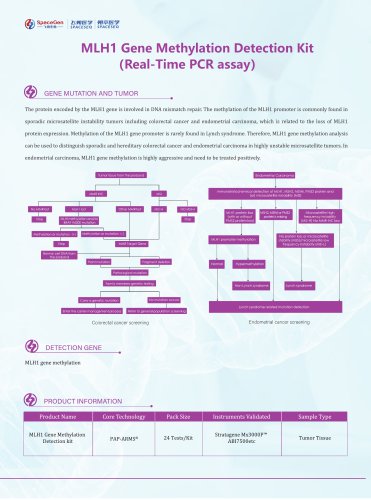 MLH1 Gene Methylation Detection Kit