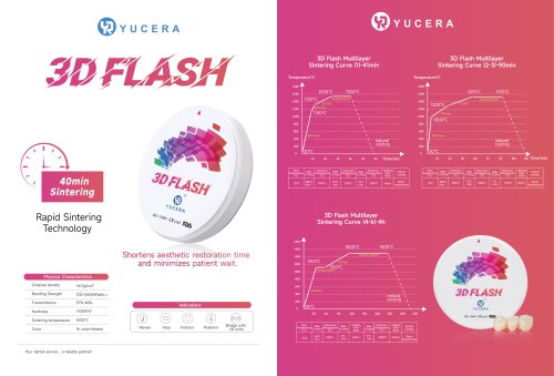 3D FLASH Promotional Brochure