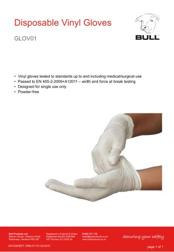 Vinyl Disposable Gloves (Large) VGLOVL01