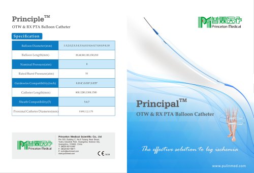 Principal - PTA balloon catheter