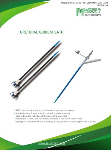 Turan-URETERAL ACCESS SHEATH