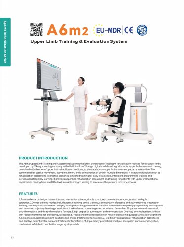 A6m Upper Limb Training & Evaluation System