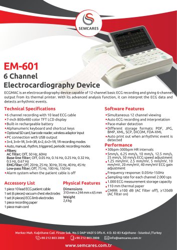 EM601 FLYER