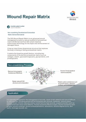 Biosis Wound dressing SIS-WRM-4L-6×8