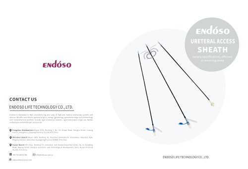 Endoso - Ureteral access sheath YS-YW