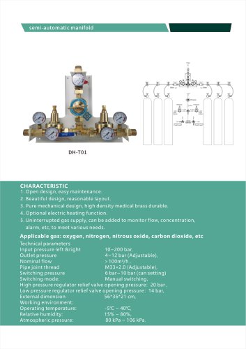 Weclearmed Manual manifold DH-T01