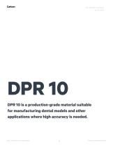 DPR 10