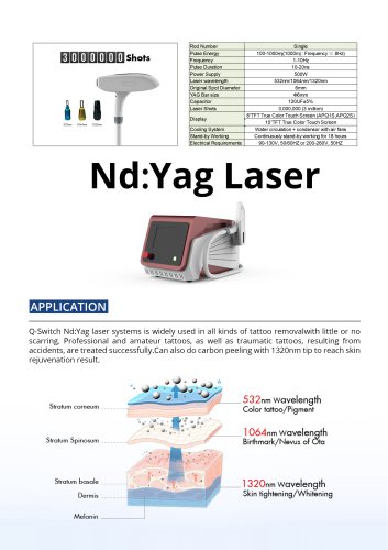 Stelle Laser-Nd Yag Laser Tattoo Removal Device-APQ2