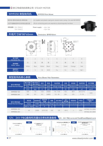 WM9250-24V