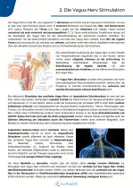 White Paper_Aurikuläre Vagus Nerv Stimulation_VIVO - 6