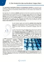 White Paper_Aurikuläre Vagus Nerv Stimulation_VIVO - 8