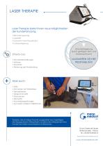 LT16 Laser Therapie-2