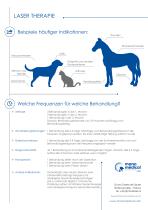 LT16 Laser Therapie-6