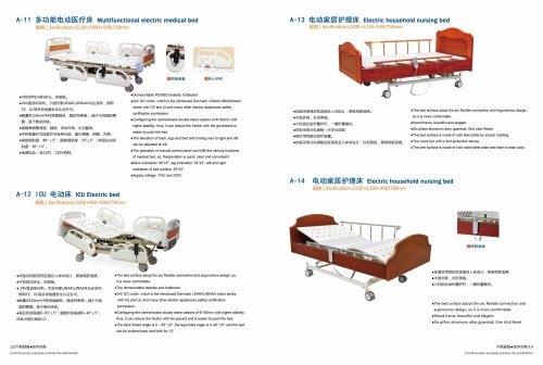3 Functions Electric Bed