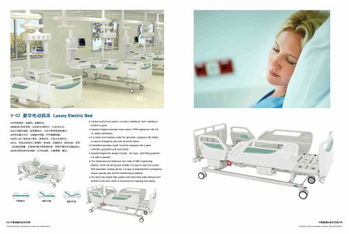 Luxury Electric Bed V-02