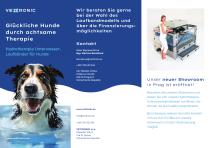 VETTRONIC_brochure_DE-1