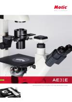 AE31E