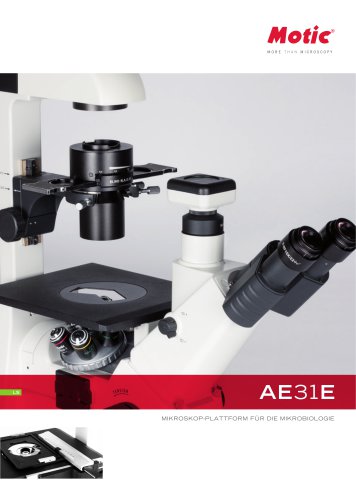 AE31E