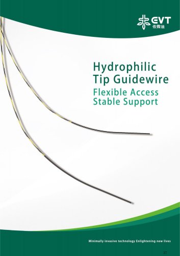 HydrophilicTip Guidewire Flexible Access Stable Support
