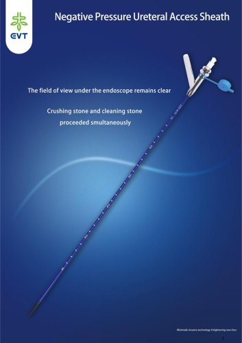 Negative Pressure Ureteral Access Sheath