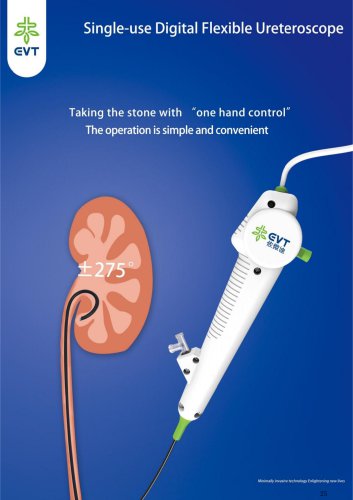 Single-use Digital Flexible Ureteroscope