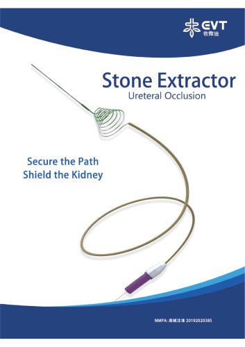 Stone Extractor Ureteral Occlusion