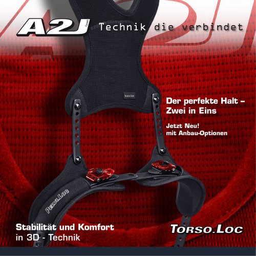  A2J &ndash; TORSO.LOC Two in One