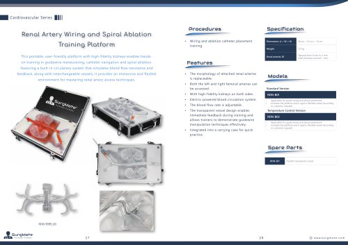 Renal Artery Wiring and Spiral Ablation Training Platform