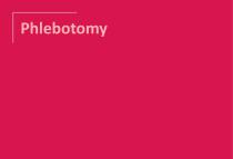 Phlebotomy 2024