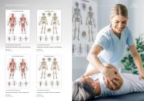 Anatomische Lehrtafeln-12