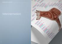 Anatomische Lehrtafeln-13