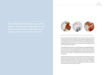 Anatomische Lehrtafeln-2