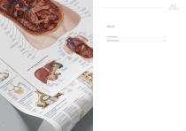Anatomische Lehrtafeln-4