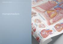 Anatomische Lehrtafeln-5