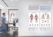 Anatomische Lehrtafeln-6