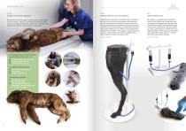 Veterinär Medizin-12