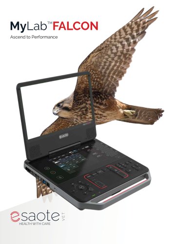 MyLab&trade;Falcon