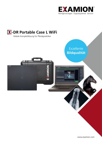 X-DR Portable case L WiFi
