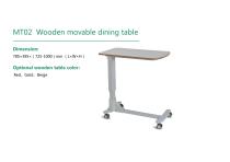 Bedside Equipments MT02